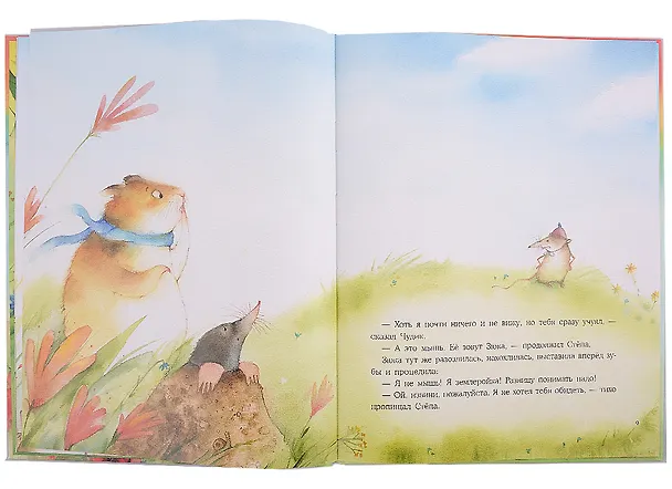 Книга Радуга для Чудика (Наталья Шицкая) — 4