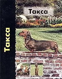 Такса Универсальное иллюстрированное руководство по уходу за собакой — 1891708 — 1