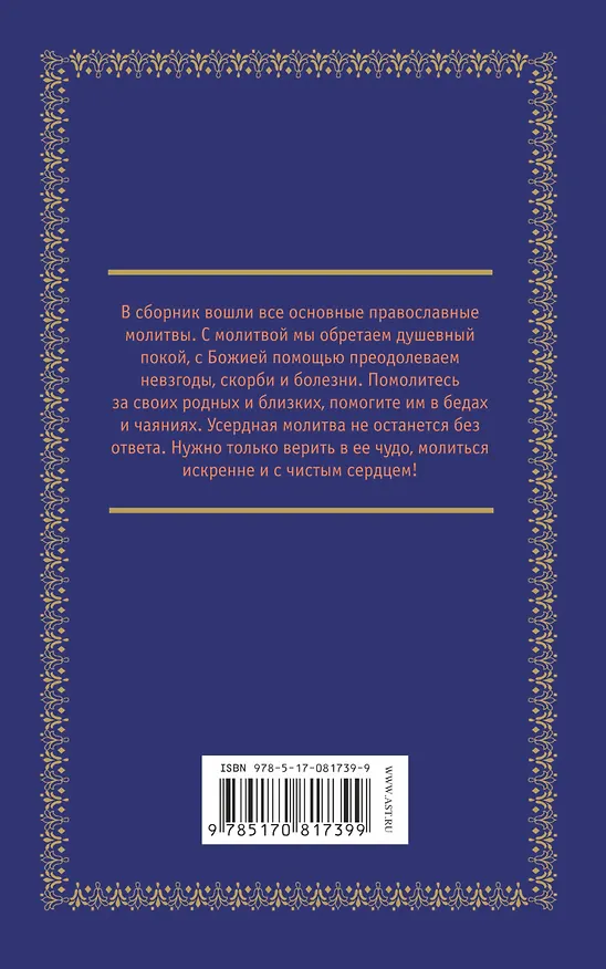 Книга Молитвы на каждый день. Необходимые слова для любых жизненных ситуаций (В.Р. Шевченко) — 2