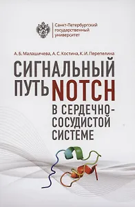 Сигнальный путь Notch в сердечно-сосудистой системе