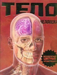 

Тело человека