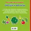 РисПальчиками(НАКЛ).Овощи и фрукты — 2391997 — 2
