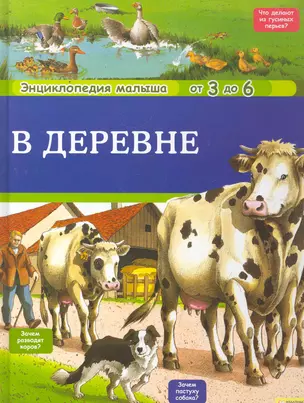 В деревне — 2277282 — 1