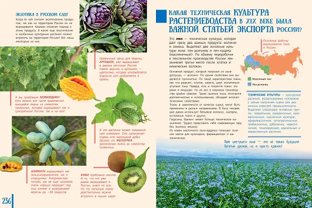 Книга 100 вопросов по географии, ответы на которые должен знать каждый (Игорь Шидловский) — 19