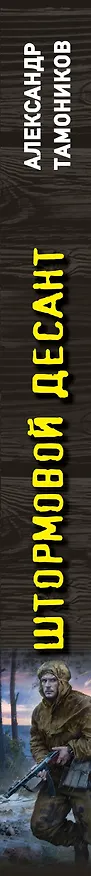 Книга Штормовой десант (Александр Тамоников) — 4