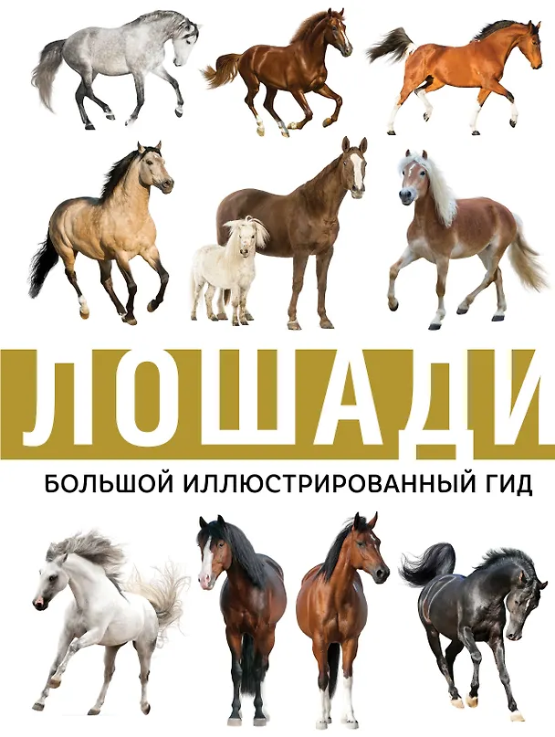Книга Лошади (Анна Спектор) — 1