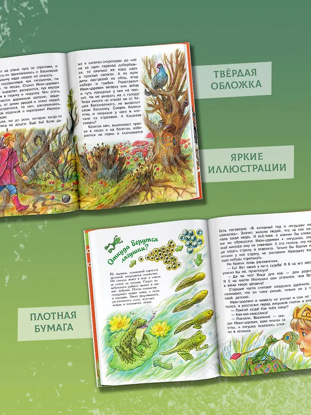 Книга Царевна-лягушка (Валентин Берестов) — 8