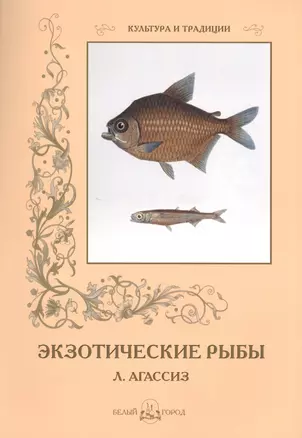 Экзотические рыбы — 2422532 — 1