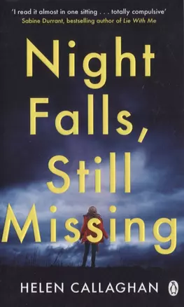 Night Falls, Still Missing — 2847639 — 1