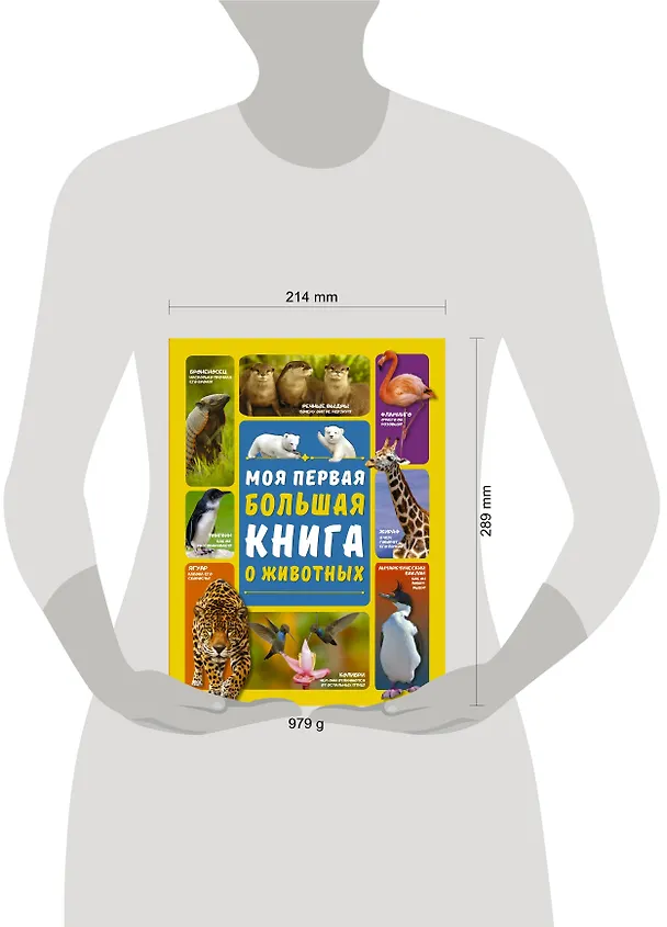 Книга Моя первая большая книга о животных (Любовь Вайткене) — 4