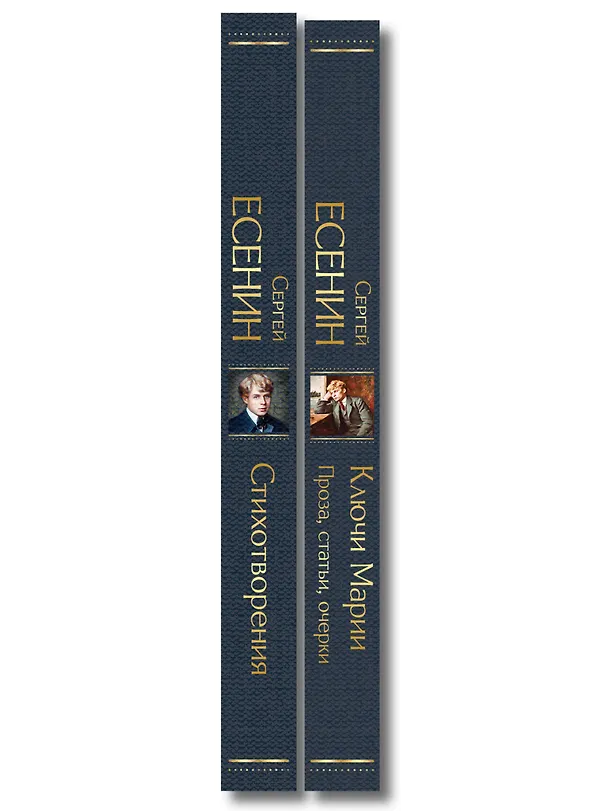 Книга Комплект Поэзия и проза Есенина (из 2-х книг: Стихотворения. Ключи Марии. Проза, статьи, очерки) (Сергей Есенин) — 3