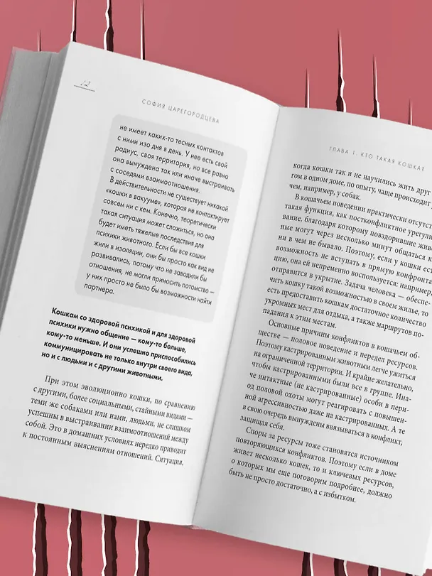 Книга Кошачий закон и порядок. Как найти общий язык с кошкой и не стать жертвой ее капризов (София Царегородцева) — 12