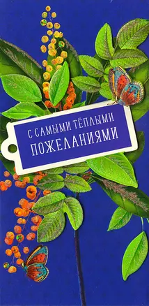 Конверт для денег С самыми теплыми пожеланиями код МК 0216.263 — 2897242 — 1