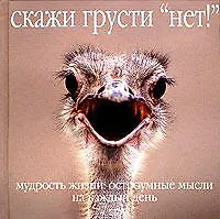 Скажи грусти "нет!". Мудрость жизни: Остроумные мысли на каждый день