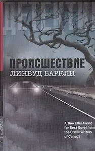Происшествие: роман