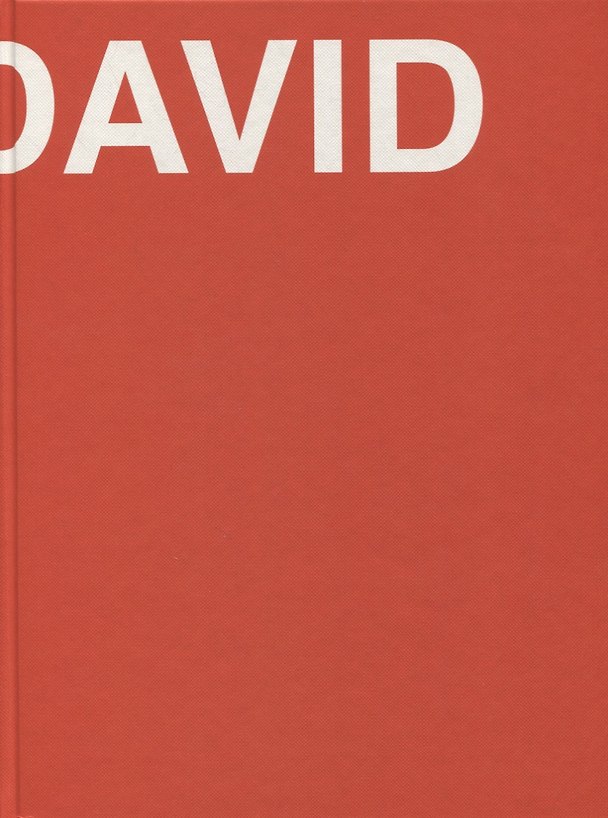 Книга David. The Life of David Ashotovich Sarkisyan () — 1