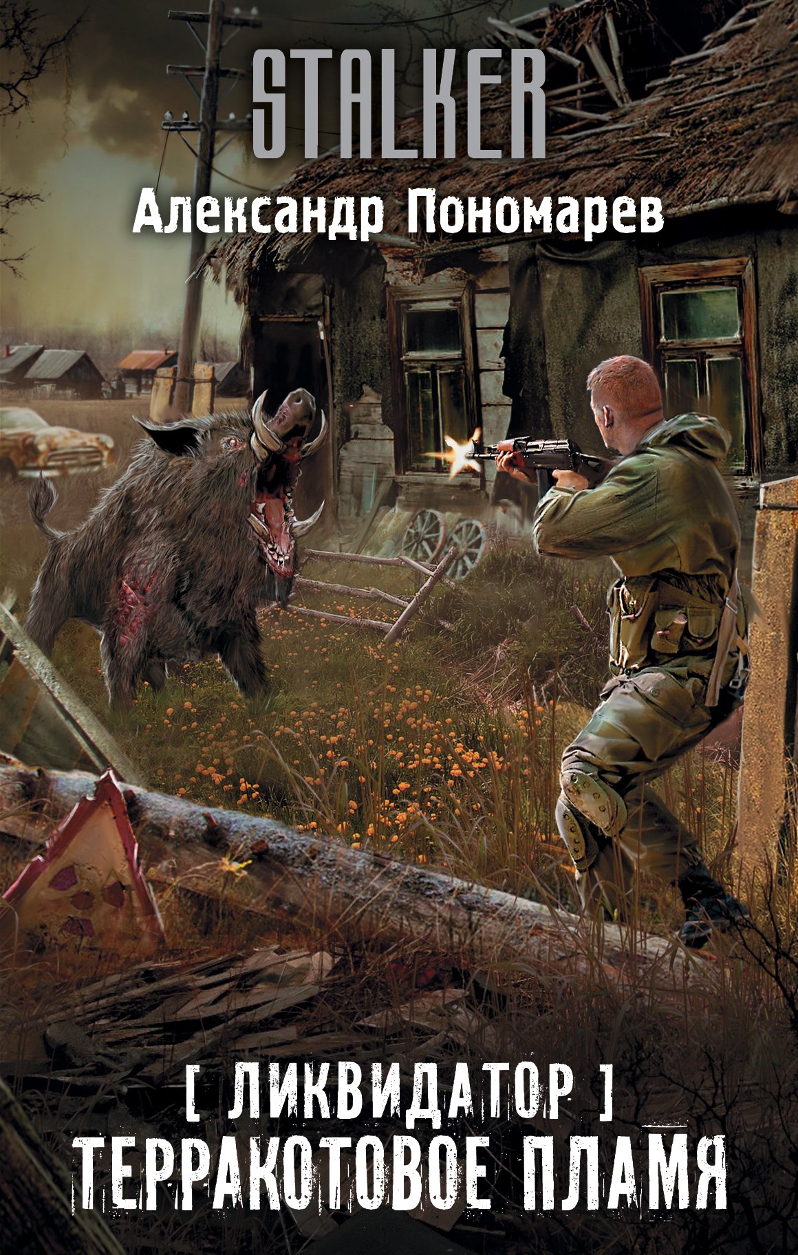 

Ликвидатор. Терракотовое пламя