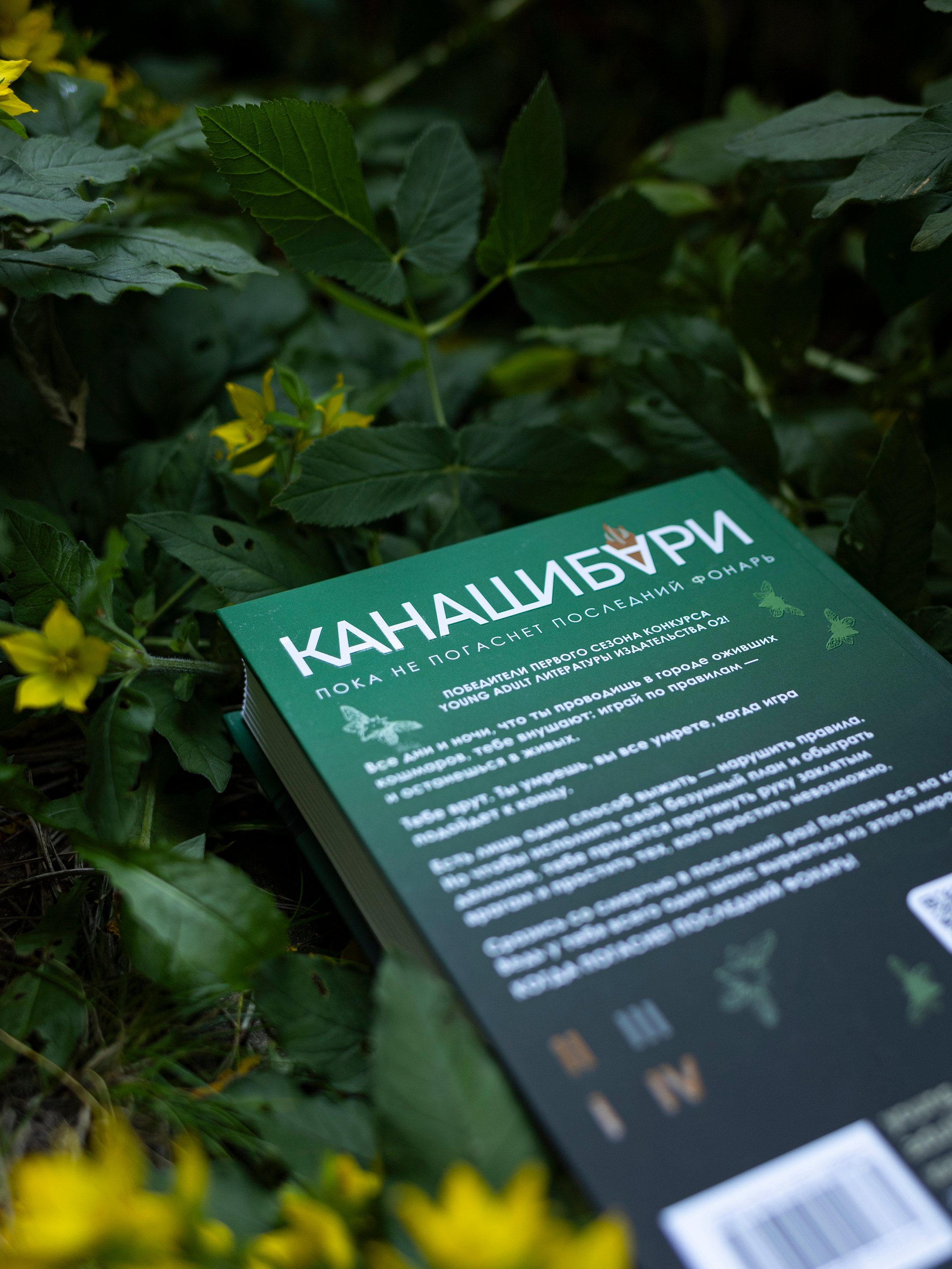 Изображение бумажной книги