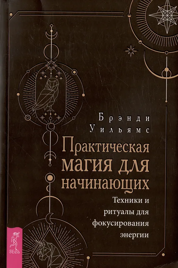 Книга Практическая магия для начинающих. Техники и ритуалы для фокусирования энергии (Брэнди Уильямс) — 1