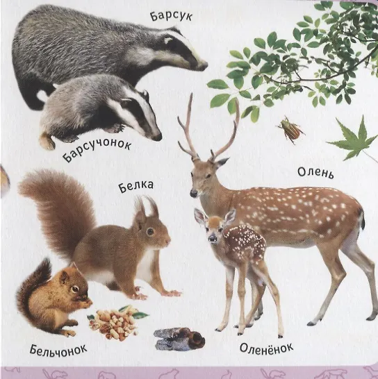 Книга Мамы и детки () — 3