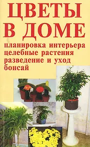 Цветы в доме - интерьер здоровья