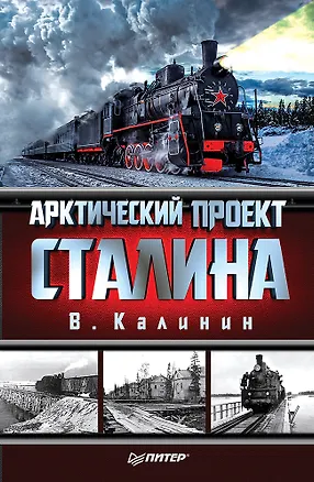 Книга Арктический проект Сталина (Вячеслав Калинин)