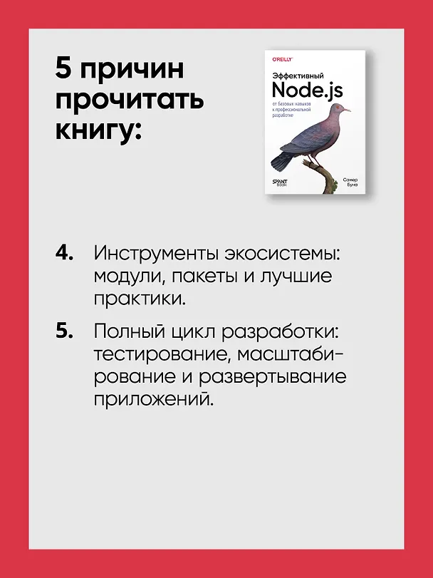 Книга Эффективный Node.js: От базовых навыков к профессиональной разработке (Самер Буна) — 9