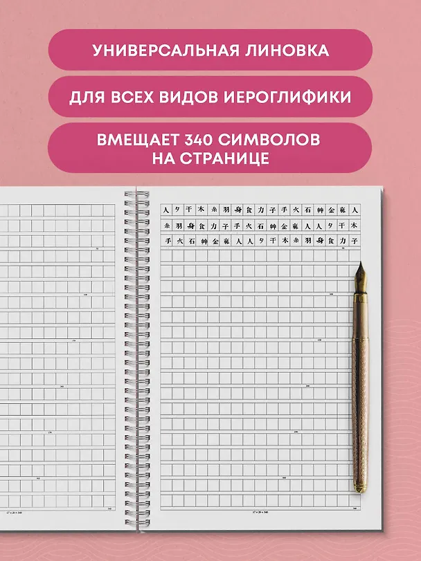 Книга Тетрадь для иероглифов на пружине (Игривый котик) () — 6