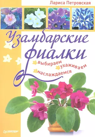 Узамбарские фиалки. Выбираем, ухаживаем, наслаждаемся. — 2328115 — 1