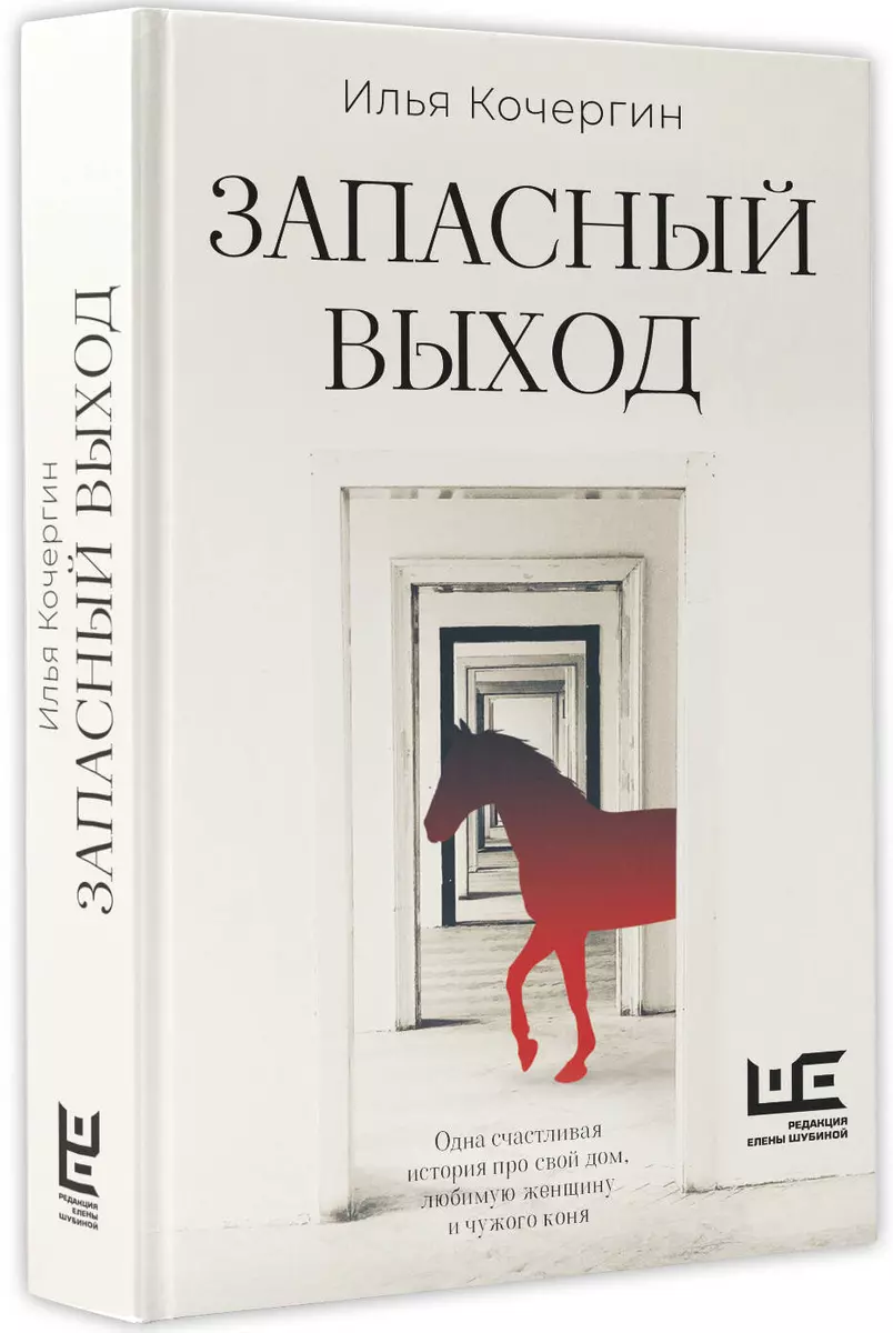 Запасный выход (Илья Кочергин) - купить книгу с доставкой в  интернет-магазине «Читай-город». ISBN: 978-5-17-165507-5