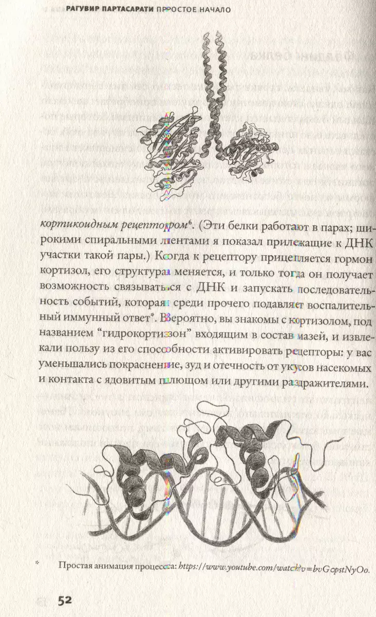 Простое начало. Как четыре закона физики формируют живой мир (Рагувир  Партасарати) - купить книгу с доставкой в интернет-магазине «Читай-город».  ISBN: 978-5-17-154096-8