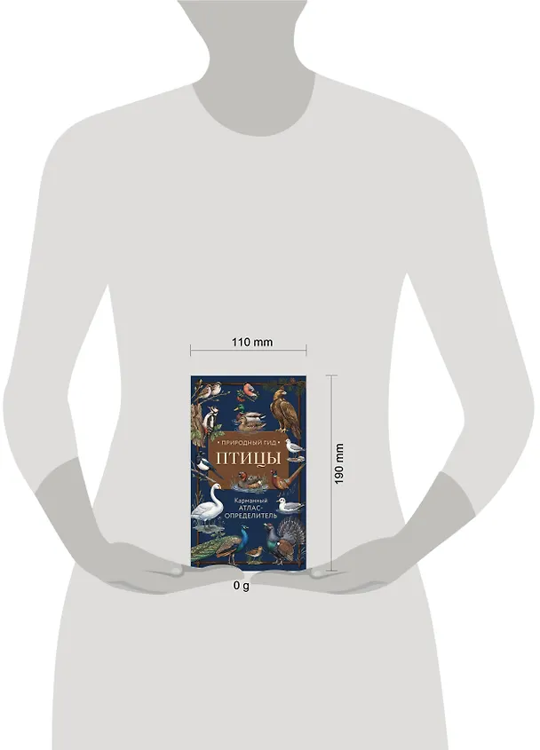 Книга Птицы. Карманный атлас-определитель (Николай Вереницын) — 5