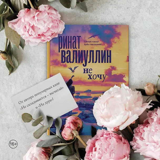Книга Не хочу (Ринат Валиуллин) — 9