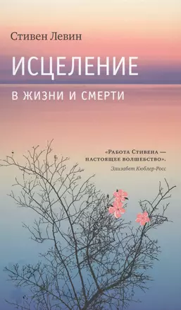 Исцеление в жизни и смерти — 2598049 — 1