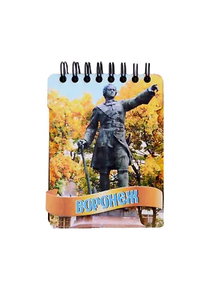 ГС Блокнот цветной Воронеж Памятник Петру 1 (70х110) 50л 2885626