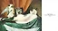 More Cats Galore Encore: A New Compendium of Cultured Cats — 3028599 — 3