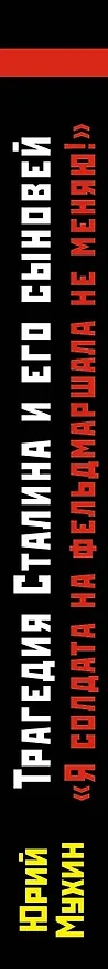 Книга Трагедия Сталина и его сыновей. "Я солдата на фельдмаршала не меняю!" (Юрий Мухин) — 3