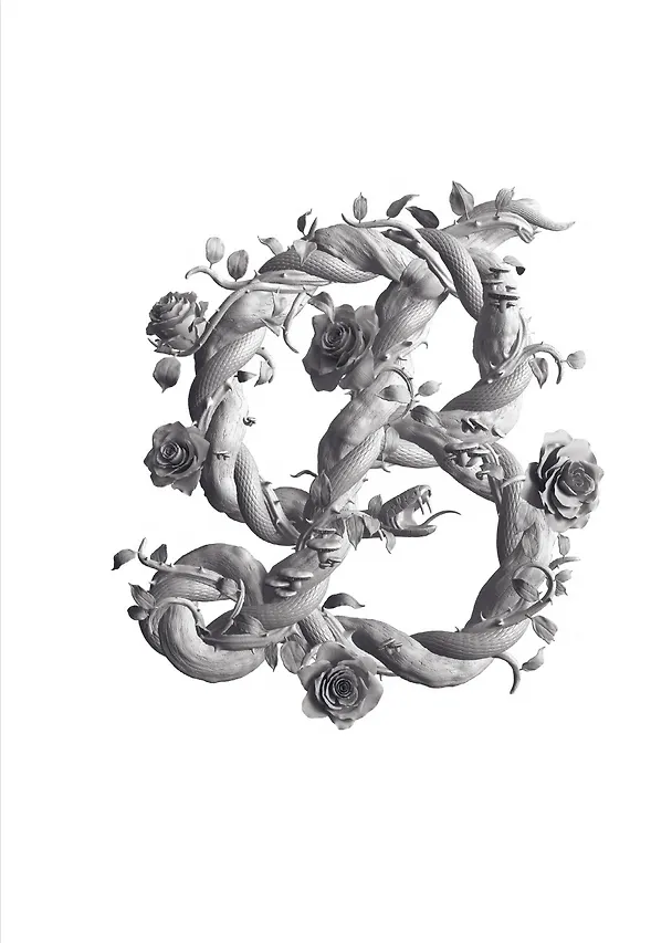 Книга Загмайстер и Уолш: О Красоте (Стефан Загмайстер, Джессика Уолш) — 1