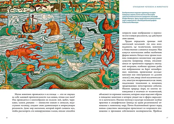 Книга Магия трав и волшебный бестиарий. Сборный комплект из 2-х книг с шоппером (Ипполита Дуглас Скотти ди Виголено, Сабрина Тонутти, Роберто Маркезини) — 16