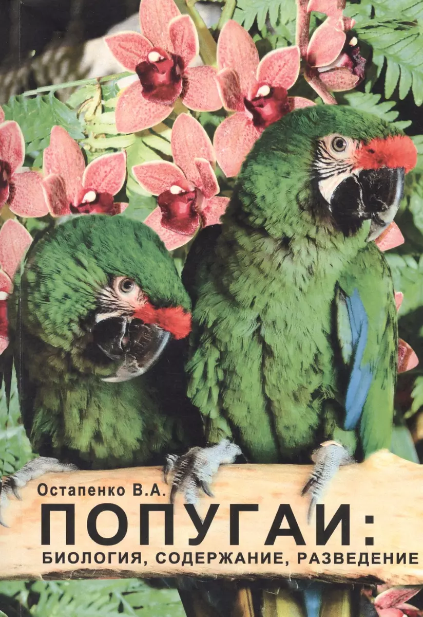 Попугаи: биология, содержание, разведение. Учебно-методическое пособие  (Владимир Остапенко) - купить книгу с доставкой в интернет-магазине  «Читай-город». ISBN: 978-5-90-510688-0