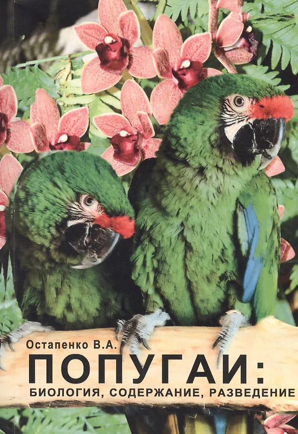 Книга Попугаи: биология, содержание, разведение. Учебно-методическое пособие (Владимир Остапенко) — 1