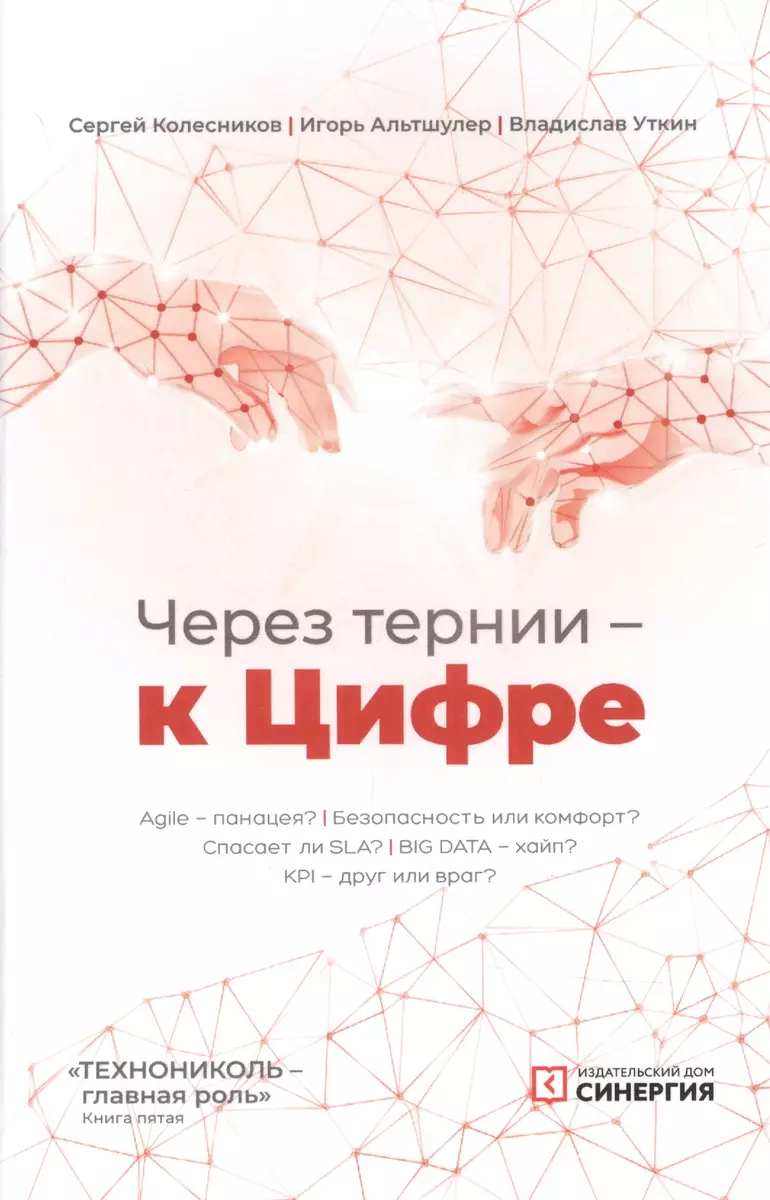 Через тернии - к Цифре (Сергей Колесников) - купить книгу с доставкой в  интернет-магазине «Читай-город». ISBN: 978-5-4257-0497-9