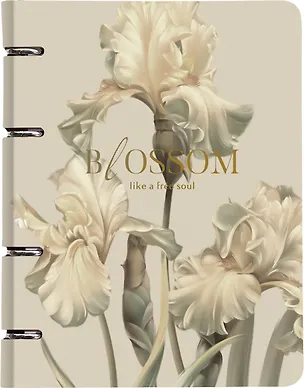 Тетрадь в клетку Blossom. Ирисы светлый, 80 листов, на кольцах, Be Smart 3151156