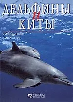 Дельфины и киты