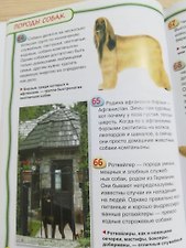Фото отзыв 2