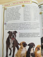 Фото отзыв 4