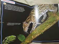 Фото отзыв 2