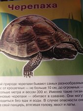 Фото отзыв 0