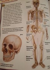Фото отзыв 0