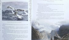 Фото отзыв 1